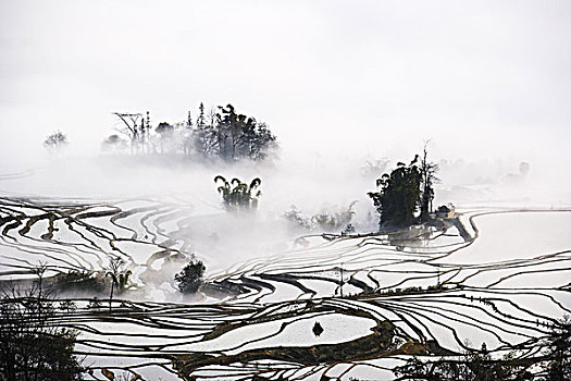 亚洲,中国,雾,特写