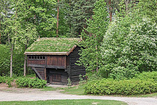 小屋,挪威,山