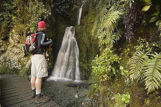 男人,看,瀑布,小路,峡湾国家公园,南岛,新西兰
