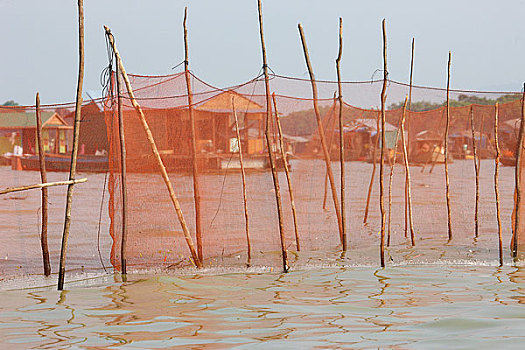 柬埔寨,收获,渔网,漂浮,乡村