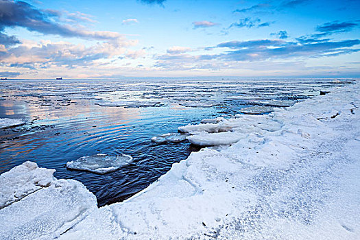 冬天,海边风景,漂浮,冰,碎片,安静,水,海湾,芬兰,俄罗斯