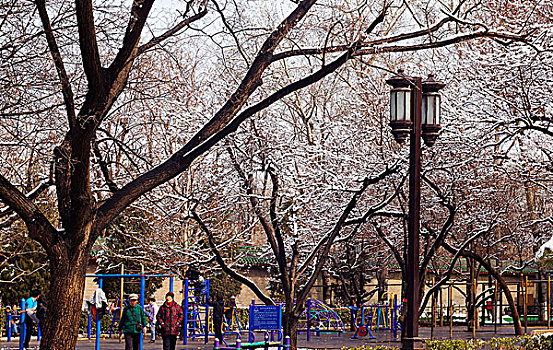 地坛公园雪景