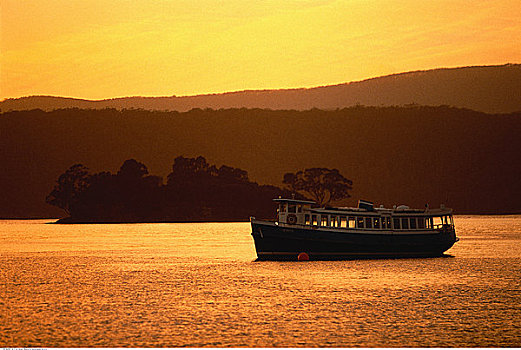 船,水上,剪影,树,日落,港口,塔斯马尼亚,澳大利亚