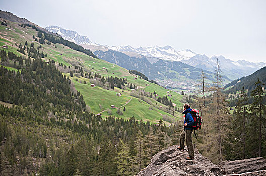 男人,远足,靠近,阿德尔博登,伯恩高地,瑞士