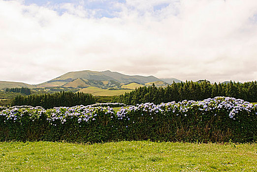 风景