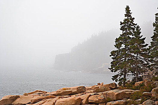 远景,水獭,悬崖,雾,海岸线,阿卡迪亚国家公园,缅因