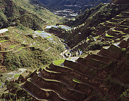 菲律宾,巴纳韦,稻米梯田