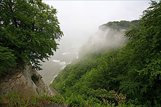风景,白垩断崖,山毛榉,树林,国家公园,吕根岛,梅克伦堡前波莫瑞州,德国