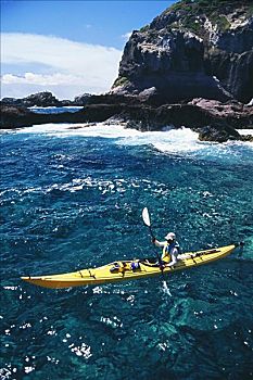夏威夷,毛伊岛,特写,男人,漂流,海岸,靠近,大