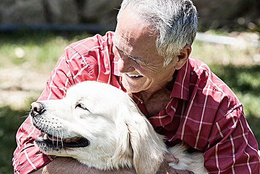 男人,宠物,狗