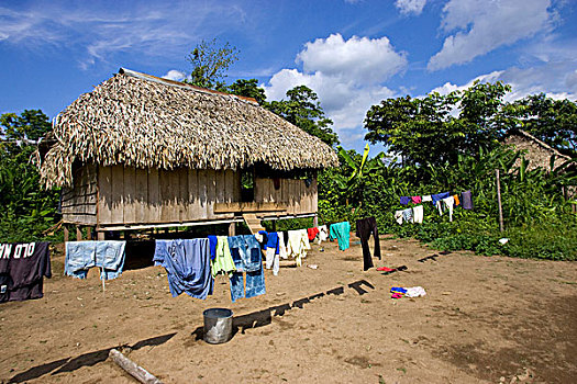 南美,厄瓜多尔,中心,衣服,悬挂,线条,户外,茅草屋顶,小屋