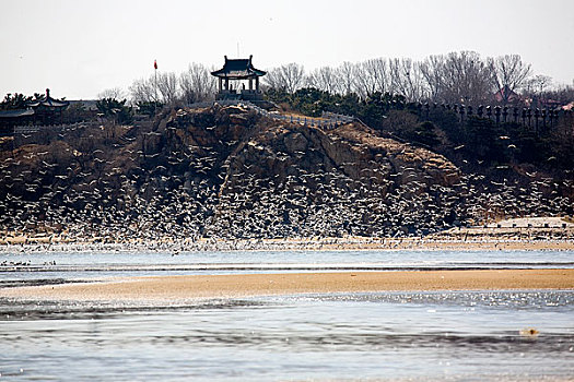 秦皇岛北戴河鸽子窝公园