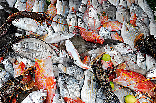 海鲜,鱼,鱼饭馆,港口,苏维拉,摩洛哥,非洲