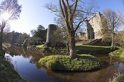 遗址,城堡,布拉尼城堡,科克郡,爱尔兰