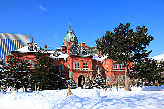 北海道,政府,建筑,冬天