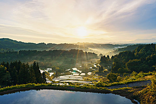 阶梯状,日出