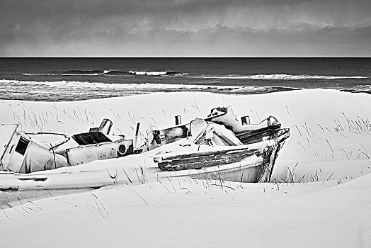 渔船,躺着,沙丘,积雪,冰,冬天