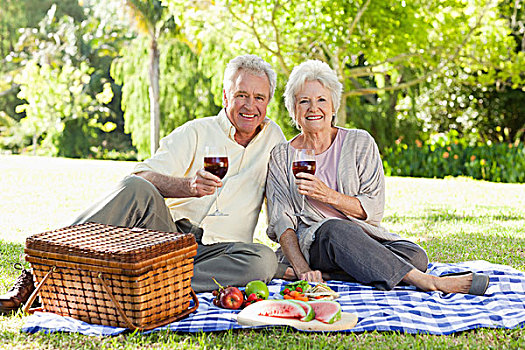 伴侣,微笑,拿着,葡萄酒杯,野餐