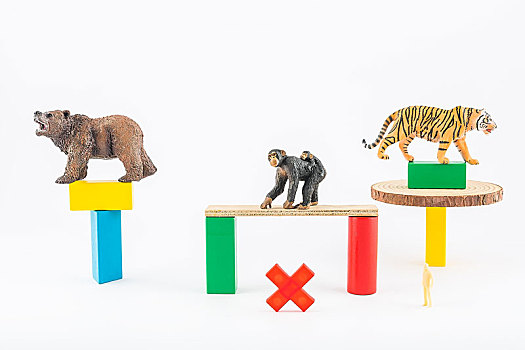 微距动物模型拍摄抵制动物表演主题插图