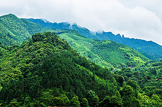 夏日山景