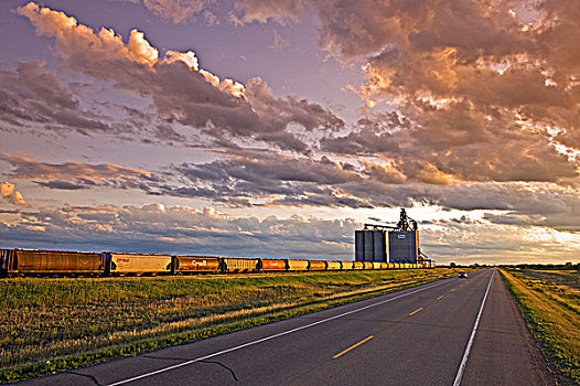 道路,草原,谷物,背景,靠近,萨斯喀彻温,加拿大