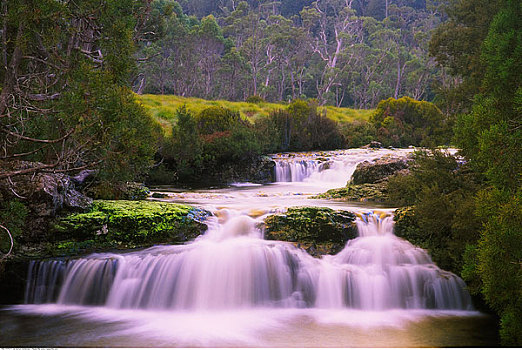 溪流,塔斯马尼亚,澳大利亚