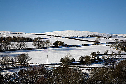 南,约克郡,英格兰,乡村,积雪