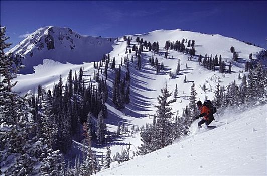 男人,屈膝旋转式滑雪,犹他,美国