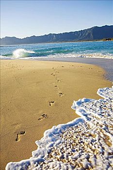 夏威夷,瓦胡岛,莫库鲁阿岛,岛屿,沙滩,脚印,水,海滩,柯欧劳山,山峦,背景