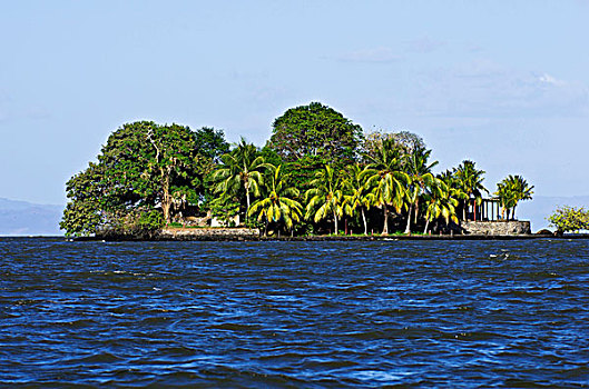 小岛,热带,植被,湖,尼加拉瓜,中美洲