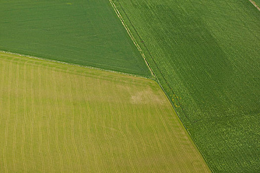俯视,农田,山谷,不列颠哥伦比亚省,加拿大