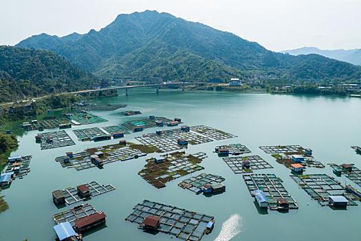 汽车小挂饰