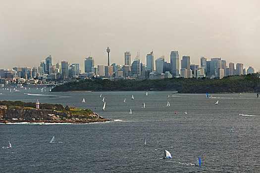 悉尼,城市风光,北方,头部