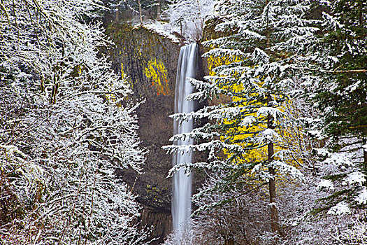 雪,漂亮,拉图来尔瀑布,哥伦比亚河峡谷国家风景区,俄勒冈,美国