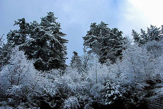 九寨沟,松潘雪景