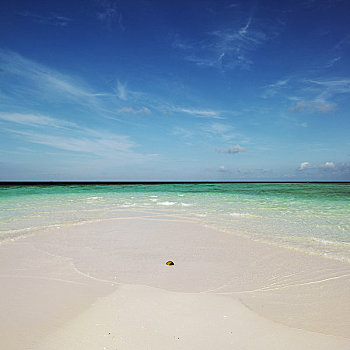 海滩,海洋,环礁,马尔代夫