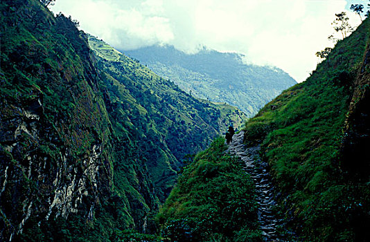 尼泊尔,喜马拉雅山,山谷