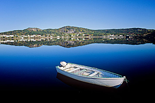 木船,湾,纽芬兰,加拿大
