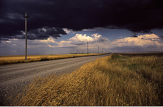 道路,云,艾伯塔省,加拿大