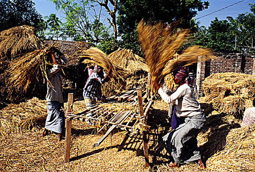 工人,孟加拉
