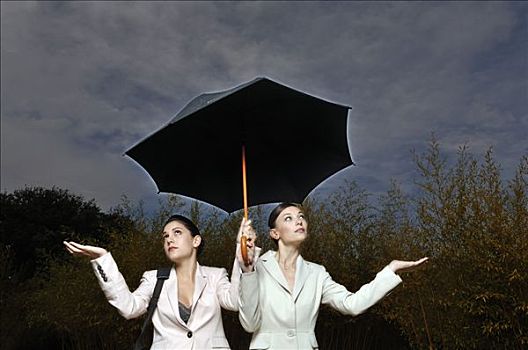 两个女人,伞