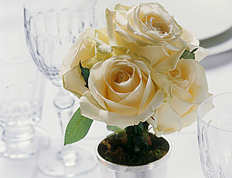 花,白色,玫瑰,桌子