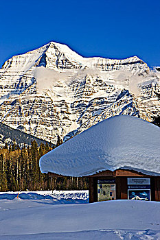 雪冠,罗布森山,脚,塔,高处,游人,信息,摊亭,罗布森山省立公园,不列颠哥伦比亚省,加拿大