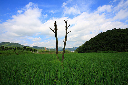 奉化,方家岙,古荡岙,山坳,山村,田园,自然,天空,蓝天