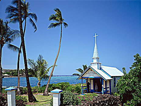 天主教,教堂,夏威夷,美国