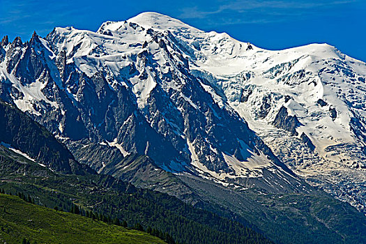 勃朗峰,山丘,夏蒙尼,皱叶甘兰,法国,欧洲