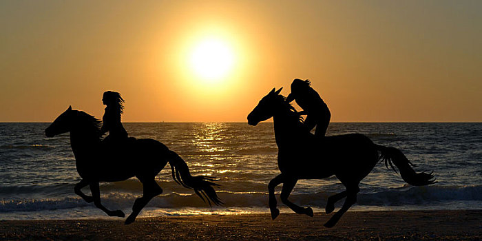 两个,骑马,驰骋,海滩