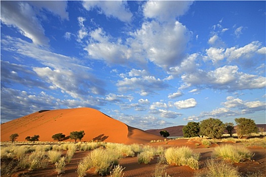 草,沙丘,天空,纳米比亚