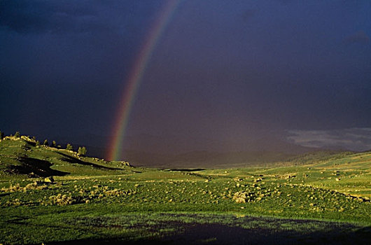彩虹,上方,山谷,黄石国家公园,怀俄明,美国