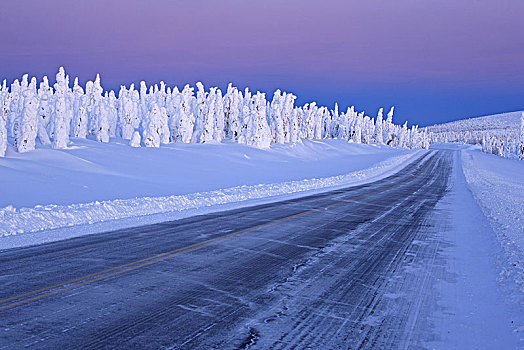 北美,美国,阿拉斯加,中心,公路,冬季风景,道路